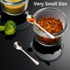4 PCS Tiny Stainless Steel Spoons for Spices Jars, Mini