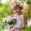 Mythya Bandas para el Cabello de Las Cristal Flores, Accesorios