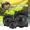 10Pcs Plant Rooting Device High Pressure Propagation Ball Root Grow