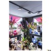 SLV 1 Phase System Light Panel Track / Spotlight, LED
