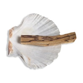 Smudge Stick Kits - Incense - Meditation - Mindfulness - Native American - Spiritual (Palo Santo and Scallop Shell)