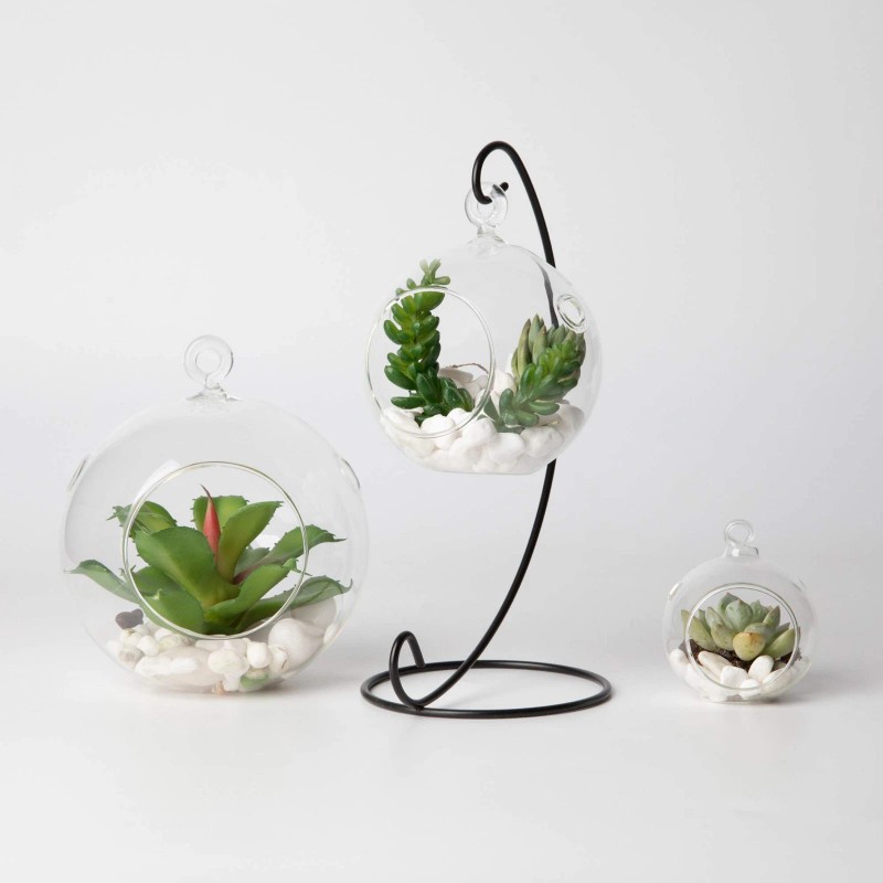 WGVI Clear Glass Terrarium Globe for Succulents Air Plants Candle