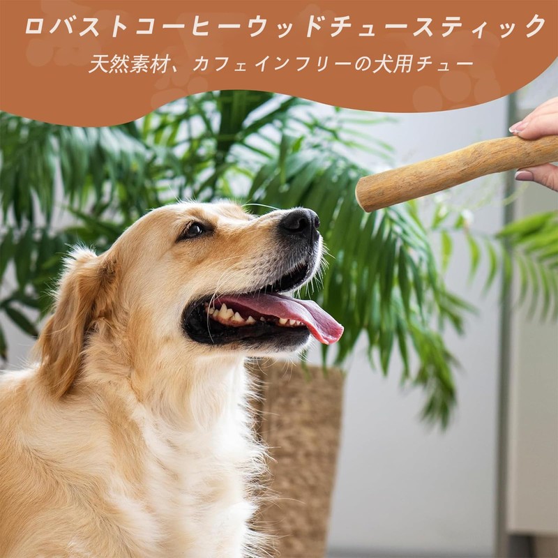 AUTAKI 犬 噛む おもちゃ コーヒー ウッドチュ― 犬 犬 おもちゃ 木