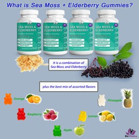 BIO VITALICA Sea Moss Gummies Elderberry BioVitalica - Parent (4)