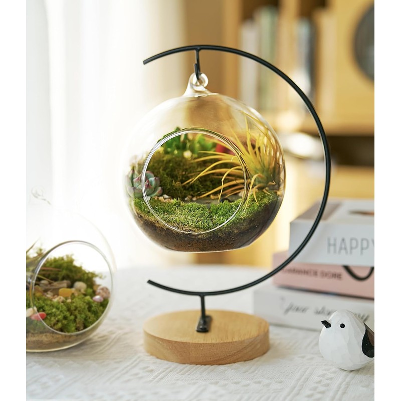 Fresh Thuidium Moss 8"x8" – Live Moss Sheet for Terrariums,