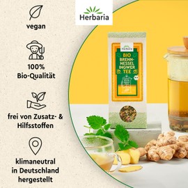 Herbaria Tea Blend Nettle Ginger Organic 45 g - 100% Organic Herbal & Spice Tea - Natural Refreshing Taste & Only Natural Ingredients - Climate Neutral Produced & Plastic-Free Packaging