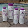 SpaGuard Balancer Bundle (pH Decreaser, pH Increaser, Alkalinity Increaser, Calcium