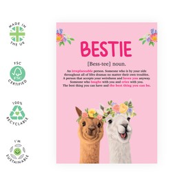 Central 23 Best Friend Birthday Card For Women - Besties Llamas - Sweet Words For Female Friends - Friendship Gifts For Her Bff Bestfriend - Comes With Fun Stickers