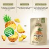 Himalayan Chef Freeze-Dried Fruit – 15g/Each Freeze-Dried Pineapple | Organic