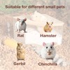 FiboPawer Hamster Sand Bath for Hamsters, Gerbils, Chinchillas, 2.2Lbs Less