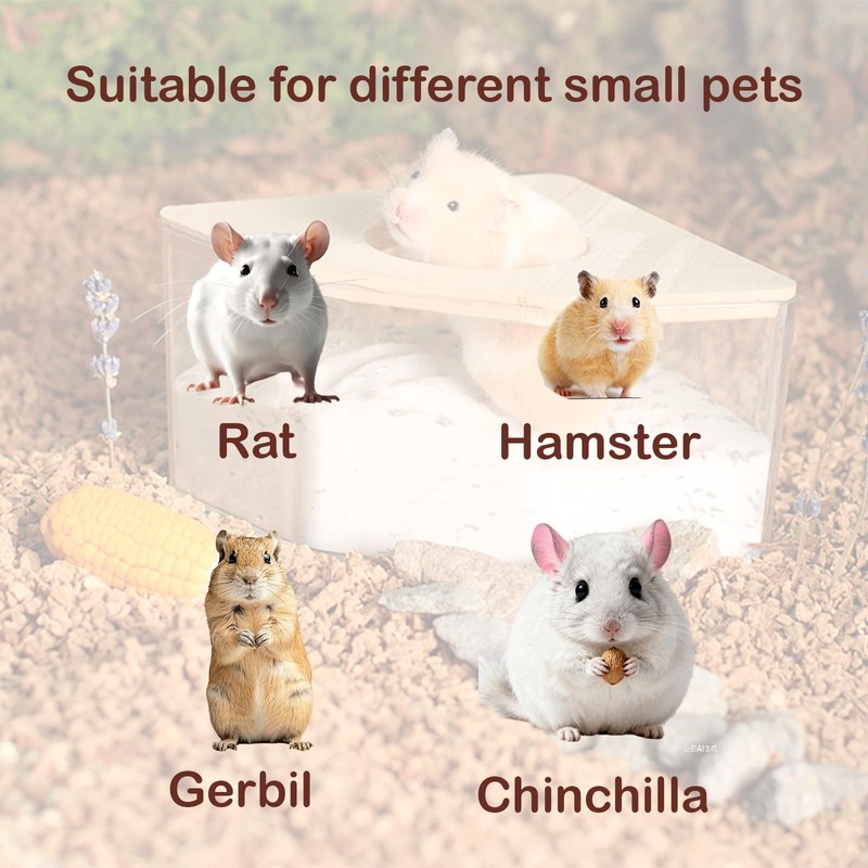 FiboPawer Hamster Sand Bath for Hamsters, Gerbils, Chinchillas, 2.2Lbs Less