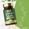 Ginkgo Biloba 12000mg | 180 Vegan Tablets | High Strength