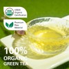 WT WEETEE Organic Green Tea Bags, Organic Pure Green Tea