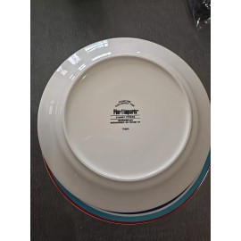 Pier 1 Imports Summer Stripes 8 3/4” Salad Lunch Plate Ironstone EXCLUSIVE NEW