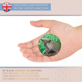 Destination Vinyl ltd Magnet for Refrigerator, Fridge - Cute Baby Armadillo Animal for Office, Cabinet and Whiteboard, Magnetic Stickers, 3053