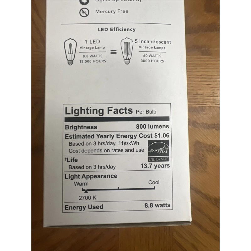 Feit Electric (2-Pk) Feit Electric E26 Vintage Edison LED Light