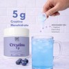 BENAT Creatina Monohidratada + L-Arginina + Electrolitos | 350 g