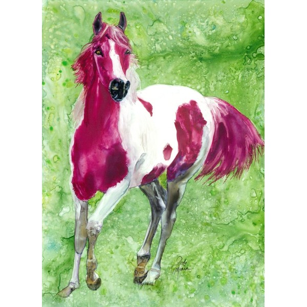 Rainbow Card Company Horse Sense Greeting Card - Pepper