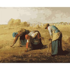 Meecaa Paint by Numbers Gleaner Person Kit for Adults Beginner DIY Oil Painting 16x20 inch (No Frame, Gleaner)