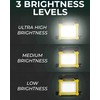 Master Tailgaters FLUD 4000 LED Work Flood Light Compatible for