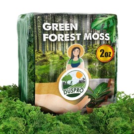 Duspro Duspro Green Moss for Crafts Decorative Moss Filler for Planters Moss Decor Table Centerpieces Wedding Christmas Fairy Party Decor, Forest Moss for Indoor Planters, DIY Project, 2 Oz
