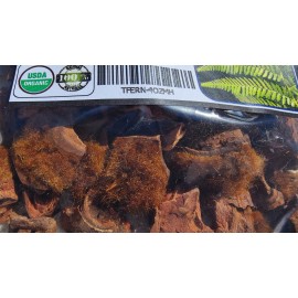 Mexican Herbs Tree Fern,woolly tree fern,ampe,helecho ampe,helecho lofosoria,male fern root