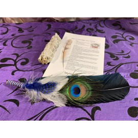 Black Feather /Blue Kit 2 Extra Sage Sticks