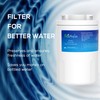 GE MWF Compatible Fridge Water Filter – PACK OF 1,
