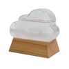 Weather Predicting Storm Cloud Glass Decorative with wooden base
