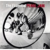 The Essential (rearviewmirror 1991-2003)