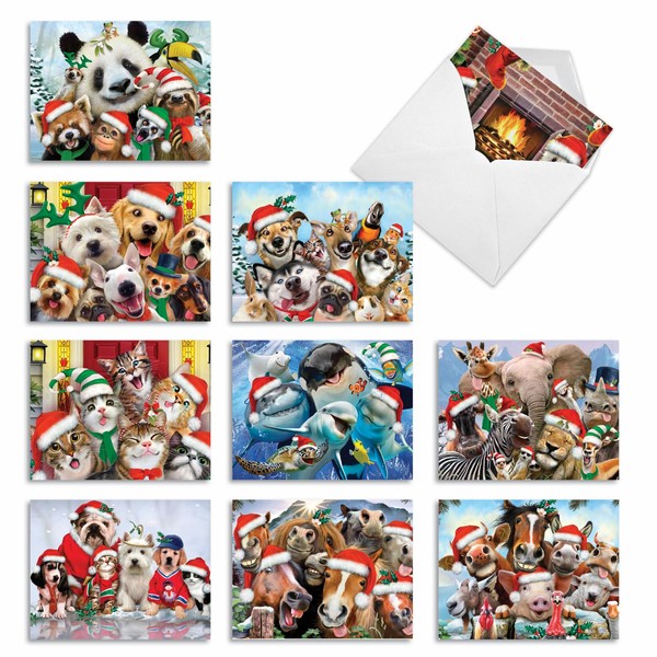 10 Assorted ‘Merry Christmas To Zoo' Note Cards with Envelopes 4 x 5.12 inch, Blank Greeting Cards with Whimsical Animals Posing for the Camera, Great for New Year, Birthdays, Holidays M6652XSB