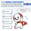 Kennel Cough Relief for Cats & Dogs | Pet Cough