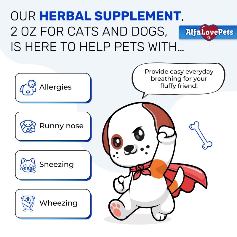 Kennel Cough Relief for Cats & Dogs | Pet Cough