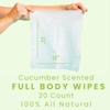 HyperGo XL Body Wipes for Women & Men – 12"