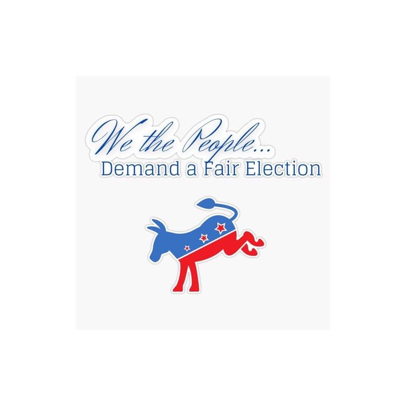 We The People Demand A Fair Election Sticker Bumper Sticker
