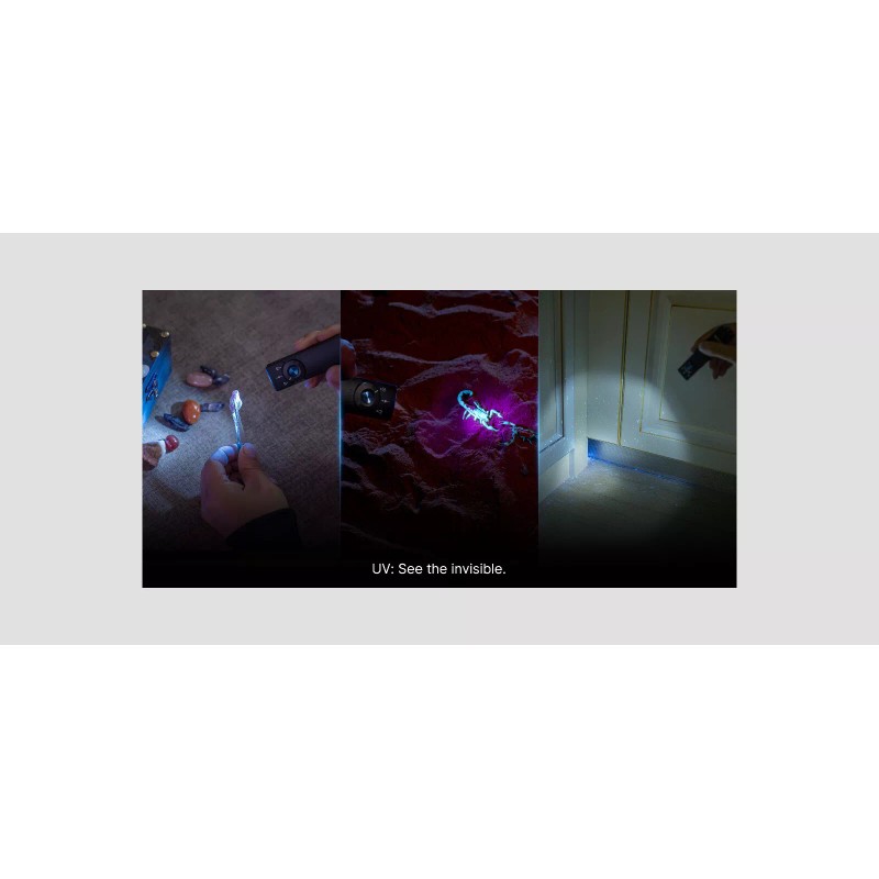 Olight Arkfeld Pro Dragon CW Flat EDC Flashlight (LED Light,