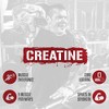 5% Nutrition CreaTEN Creatine Complex + Accelerators | Flavored Creatine