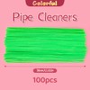 Bundooraking Apple Green Pipe Cleaners for Crafts – 12in Chenille