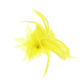 Zac's Alter Ego Colourful Fascinator with Feather on Clip & Brooch Pin