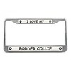 Border Collie License Plate Frame (Chrome) 5 Year Warranty