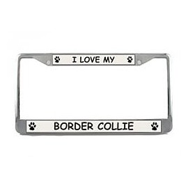 Border Collie License Plate Frame (Chrome) 5 Year Warranty