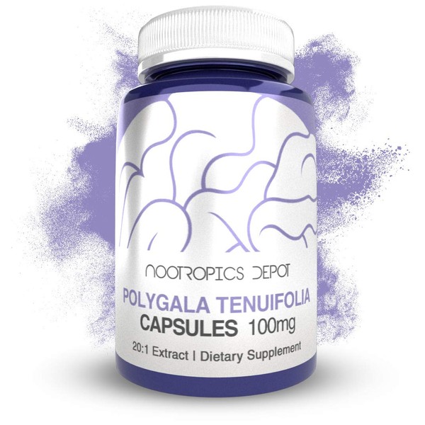 Nootropics Depot Polygala tenuifolia Capsules | 100mg | 90 Count | 20:1 Extract | Yuan Zhi | Promotes Cognitive Function, Learning and Memory | Supports Healthy Stress Levels | Adaptogen Supplement