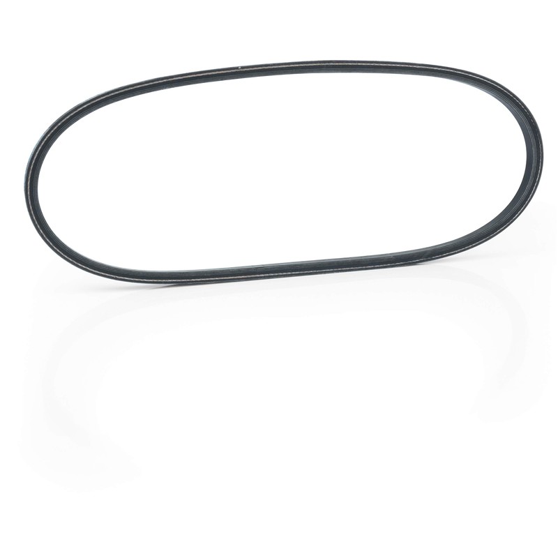 EZGO Starter Generator Belt (2008-Up) Gas Rxv/Txt Golf Cart |