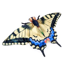 Frankiezhou Home Swallowtail Butterfly Plush Toy, Large Swallowtail Butterfly Stuffed Animals 16in, Realistic Soft Big Butterfly Plushie Model Toy, Unique Plush Gift Collection for Kids