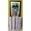 15.7" X 23.6" Lenticular mighty morphin power Green Ranger Dragon