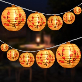 HOSY 10 Count Lantern with 11' White Wire String Lights, 12" Spacing Plug-in Lantern String Lights (Plum Blossom)
