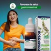 Nutricosmetics Soria Composor 18 Regastril Complex S Xxi 50 ml