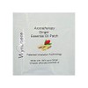 Ginger Aromatherapy Inhalation Patch