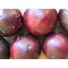 yunakesa Caimito Purple Star Apple Chrysophyllum cainito Seedling Plant Potted