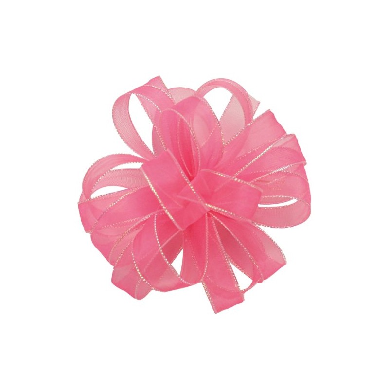 Offray Chic Ribbon, 0.625, Hot Pink with Opal Edge